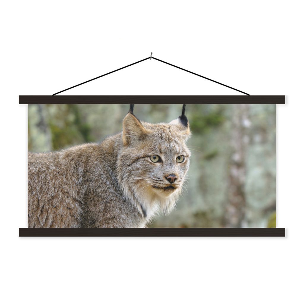 MuchoWow Textilposter Luchs - Wald - Grau 60x30 cm mit schwarzem Rahmen - Textilien
