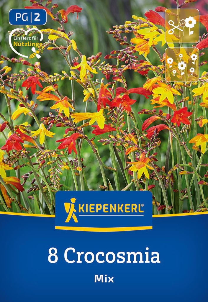 Kiepenkerl Crocosmia Kleinblumige 8 Pflanzen