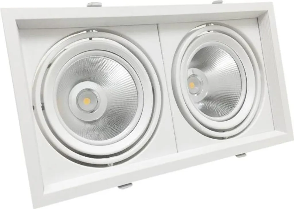 Spot LED Double AR111 Encastrable Blanc Chaud Orientable pour Plafond