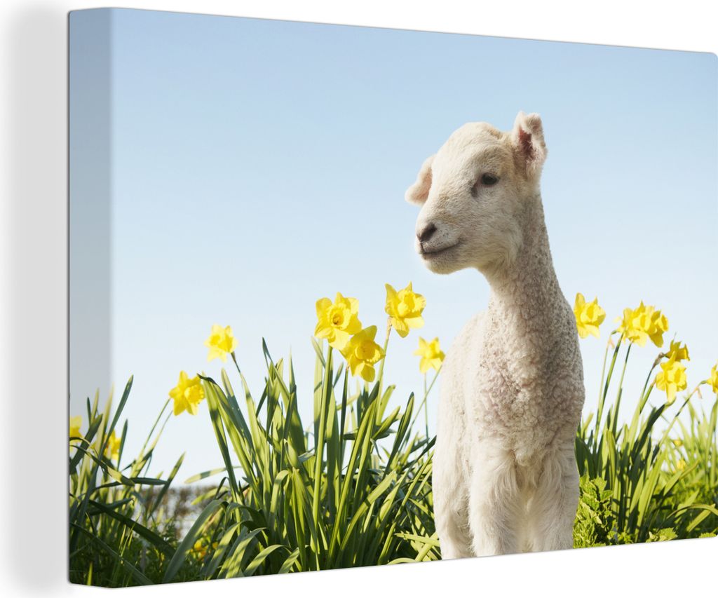 OneMillionCanvasses - Leinwandbilder - 140x90 cm, Schafe - Blumen - Frühling, Wandbilder Kunstdruck Wanddekoration