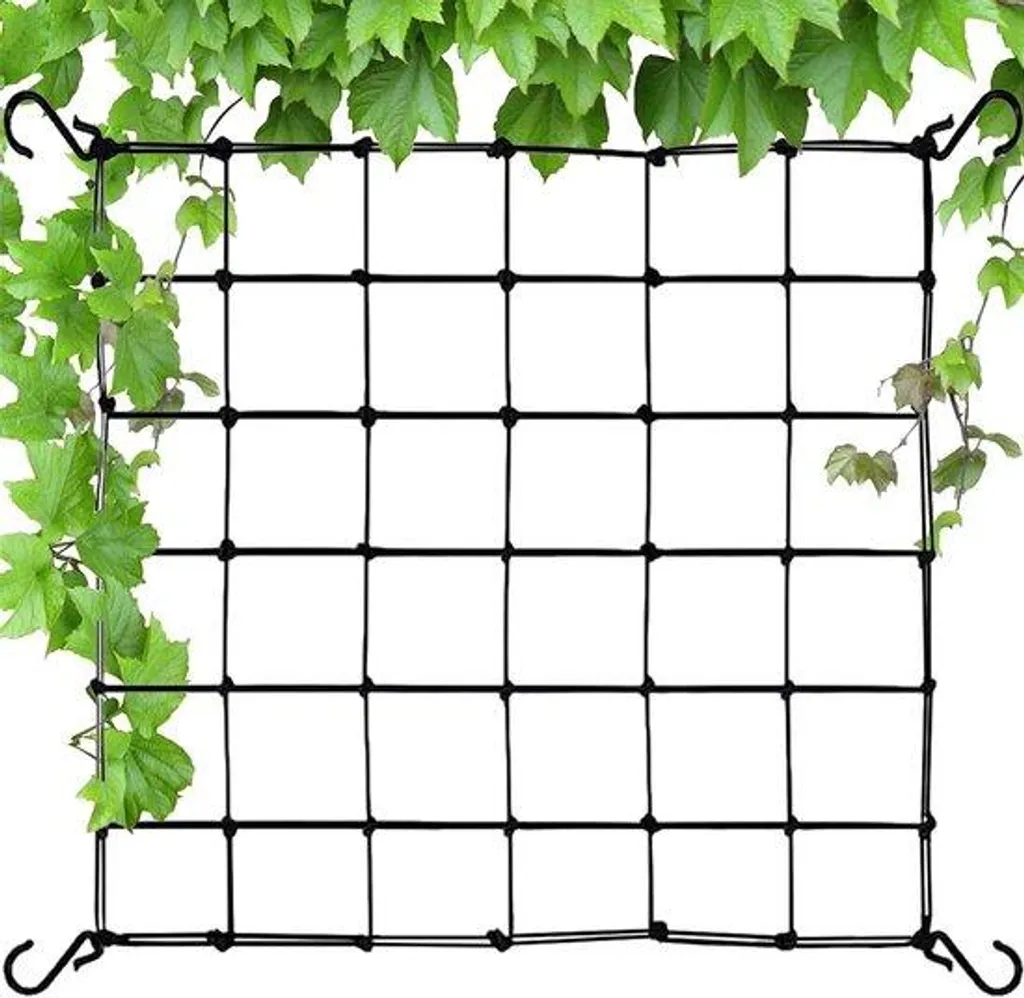 Filet pour protéger vos fruits et légumes 60x60 cm nylon avec 4 crochets de pose