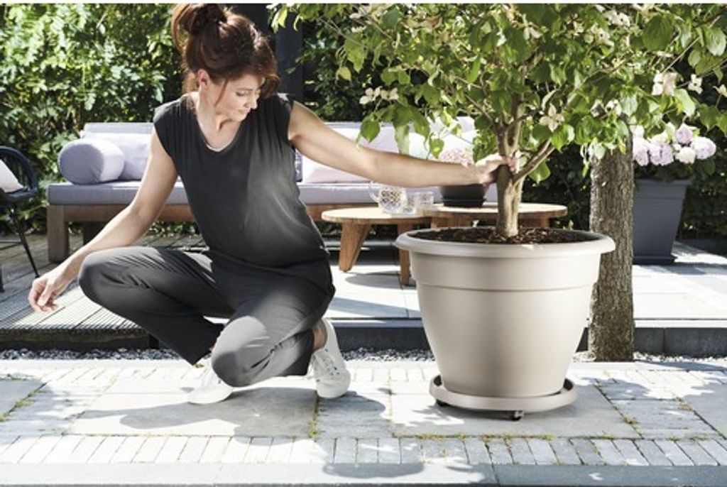 elho universal planttaxi 35cm, Untersetzer, Polypropylen, Produktbild 
