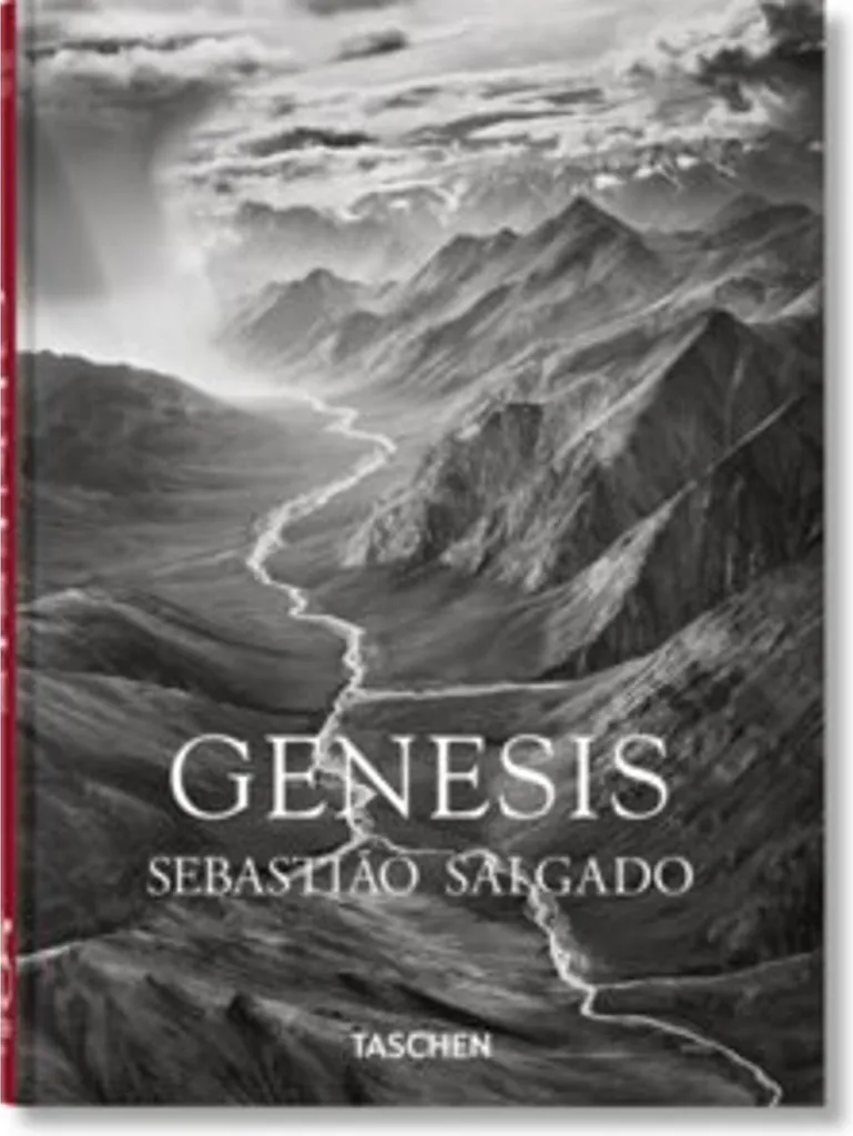 Album photo Sebastião Salgado pour décoration et collectionneur