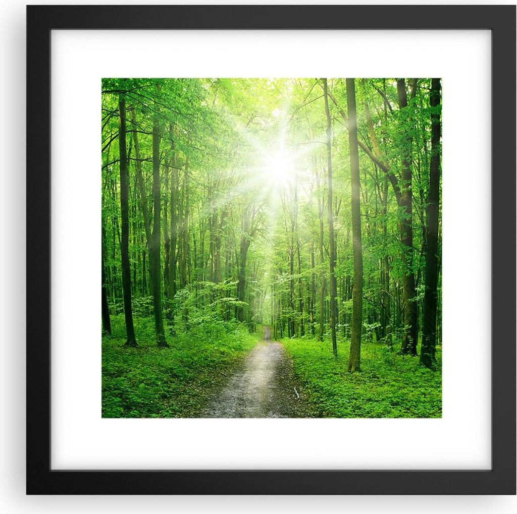 Gerahmtes Poster - Schwarzer Rahmen - Sonnenstrahlen Wald Sommer - 30x30 cm - Wand Bild - Wanddeko - Wandbilder - Wandposter - Bilderrahmen - Bilde...