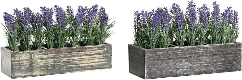 Plante décorative intérieure pour étagère et bureau - Lot de 2 en bois