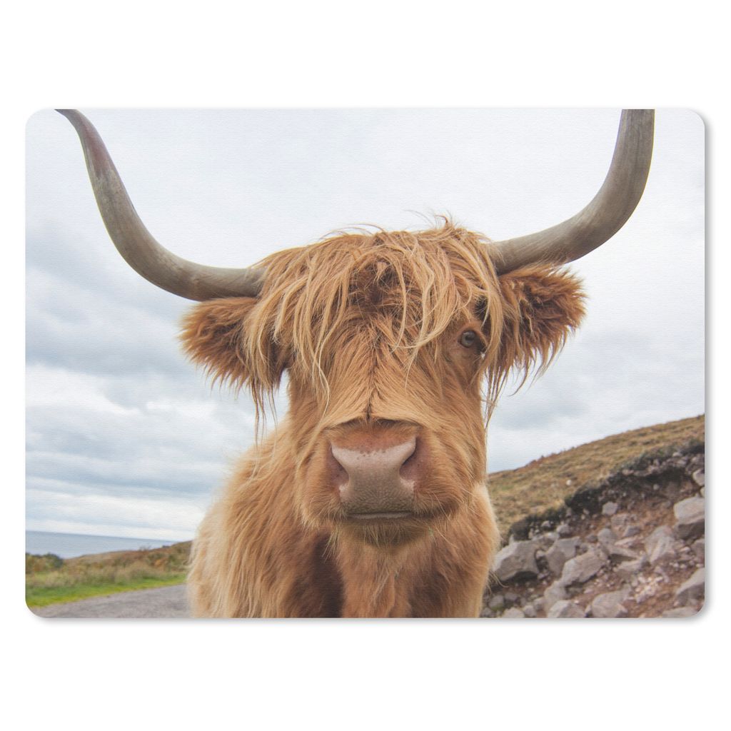 MuchoWow Mauspad Mousepad Schottischer Highlander - Hörner - Berg 40x30 cm - Mousepads - Maus Mat - Pad - Mausunterlage - Anti Rutsch