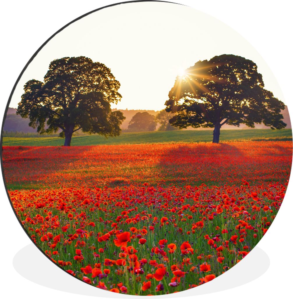 MuchoWow Aluminium Wandkreis Ein Mohnfeld mit zwei großen Bäumen Ø 90 cm Wanddeko Modern Wohnzimmer - Mauerkreis - Wandbilder - Runde Bild - B...