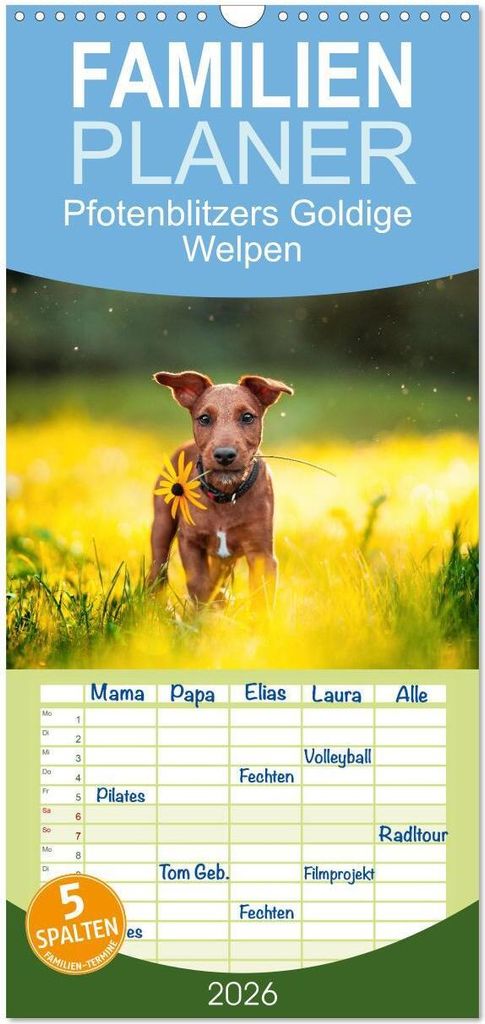 Familienplaner 2026 - Goldige Welpen mit 5 Spalten (Wandkalender, 21 x 45 cm) CALVENDO