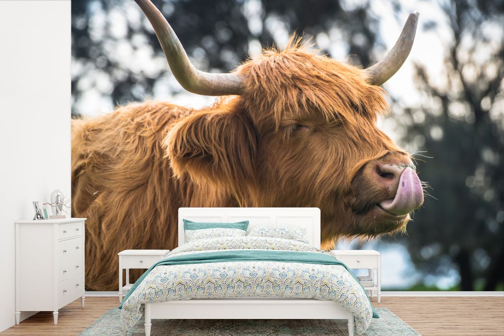MuchoWow Fototapete für Wohnzimmer oder Schlafzimmer Wandtapete Vinyl Motivtapete Schottischer Hochländer - Kuh - Frühling - Tiere - 420x280 c...