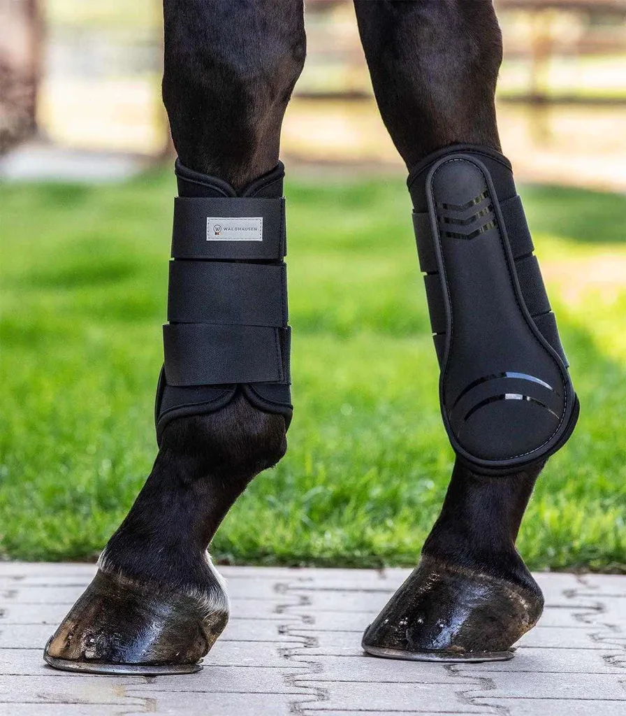 Acquista Ghette Basic Plus Nera L: L'Accessorio Equitazione Indispensabile - 3