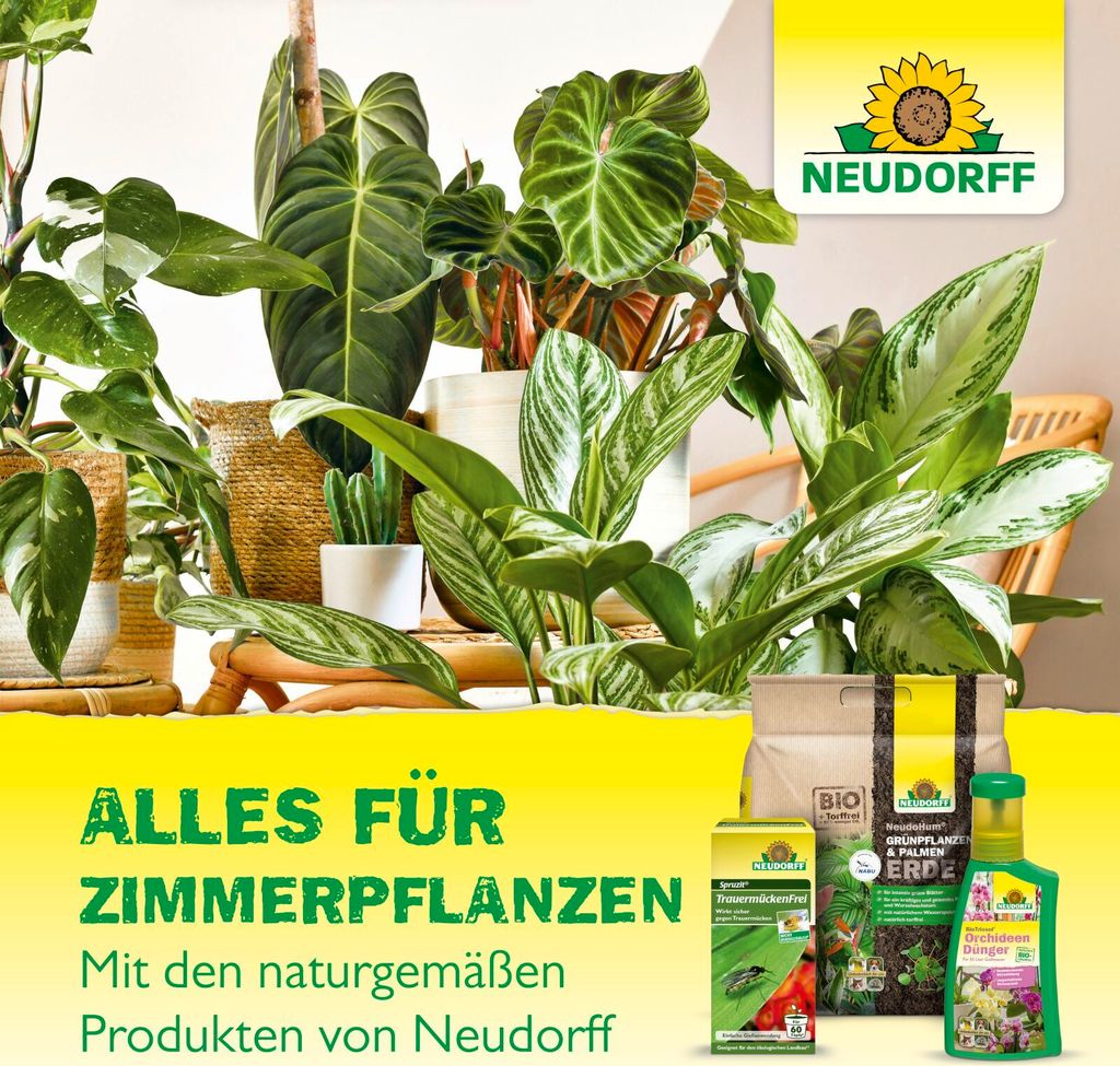 Neudorff Gelb-Sticker 10 Stück Produktbild 8