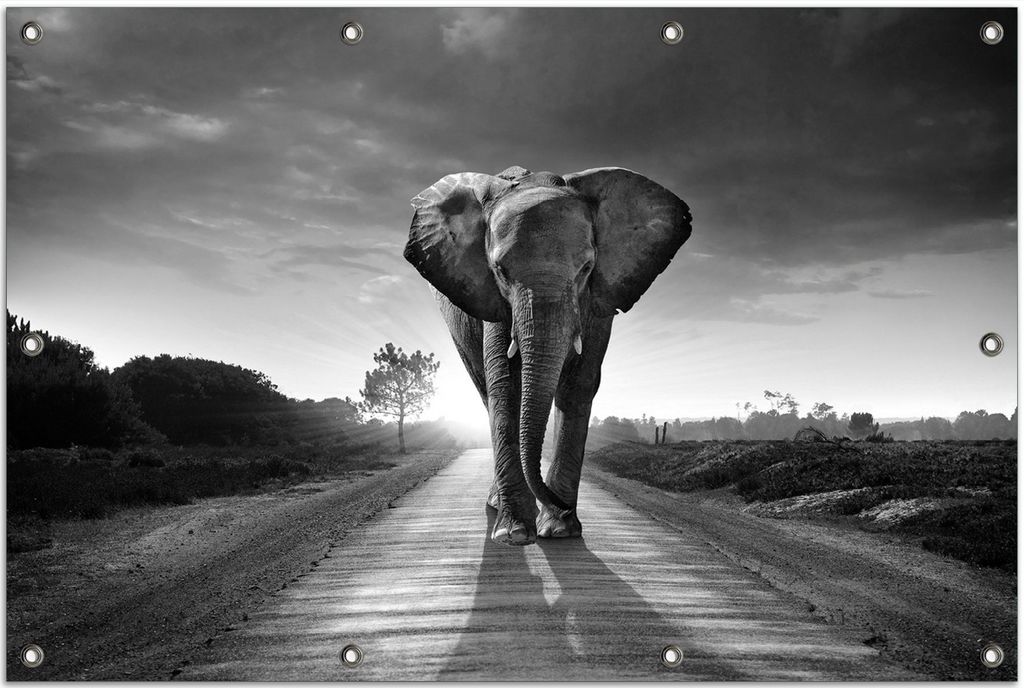Wallario Outdoor-Poster für Garten oder Balkon, Motiv Elefant bei Sonnenaufgang in Afrika schwarzweiß, in ca. 80 x 120 cm