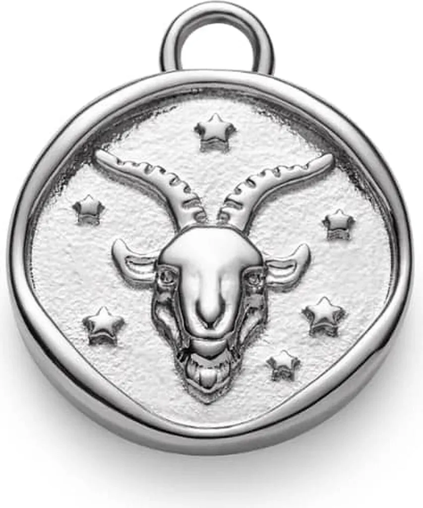 Regalo Segno Capricorno: Ciondolo Paul Hewitt Zodiaco Acciaio