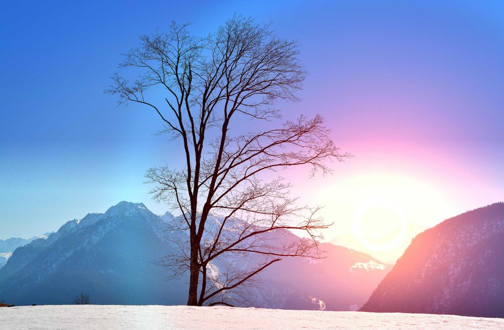 hansepuzzle 15773 - Sonne im Schnee Puzzle, 500 Teile, Natur, 46,0 x 30,0cm mit hochwertiger Aufbewahrung, Kartonbox und wiederverschließbarem Beutel