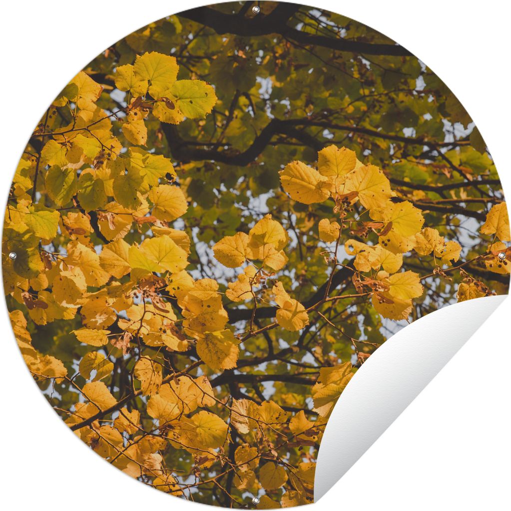 MuchoWow Gartenposter Outdoor-Poster Rund Blätter - Baum - Natur - Jahreszeiten Ø 120 cm Gartendeko Rundes Poster draußen