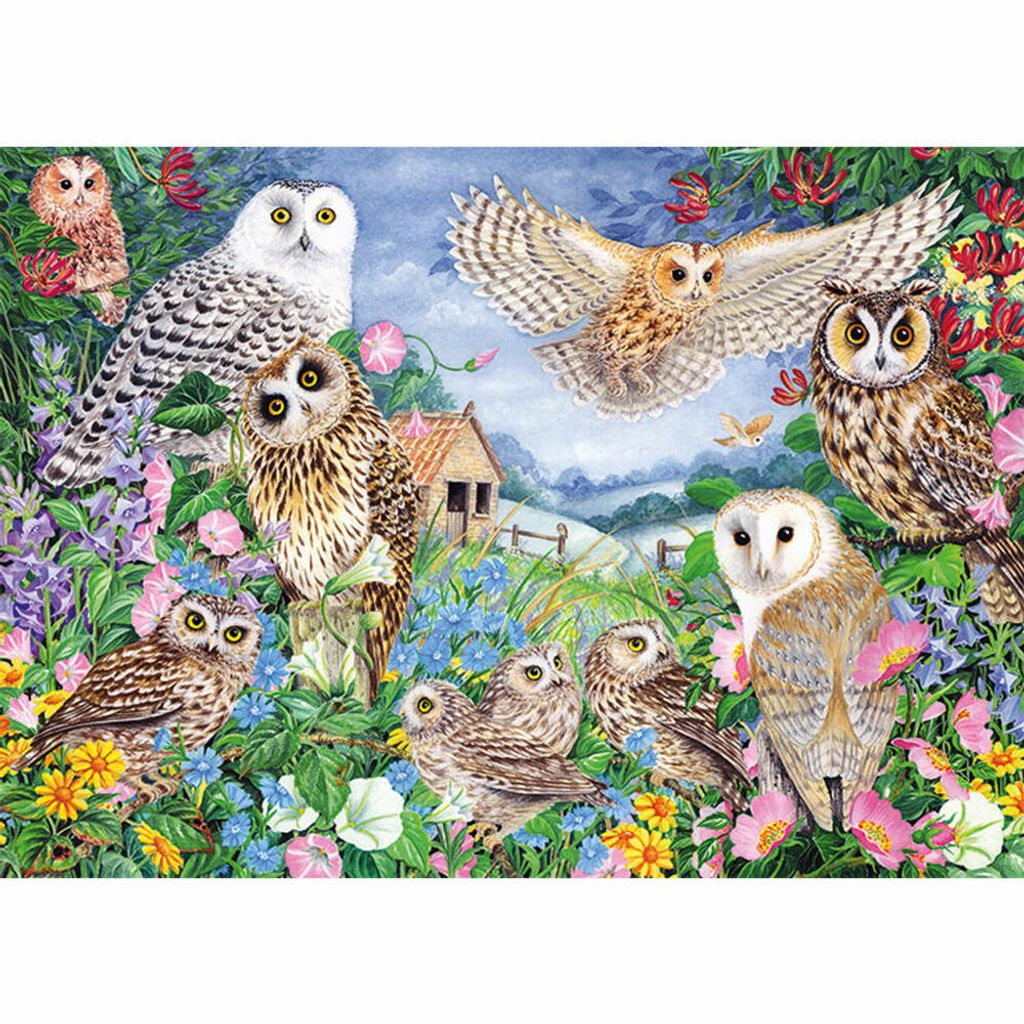 Falcon - Puzzle Owls in the woods - 1000 dielov