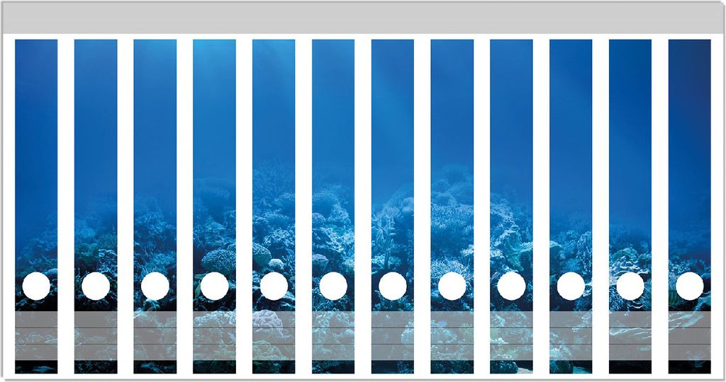 Wallario Ordnerrücken Sticker, selbstklebend für schmale Ordner, 12 Stück, Motiv Unterwasserwelt Meer