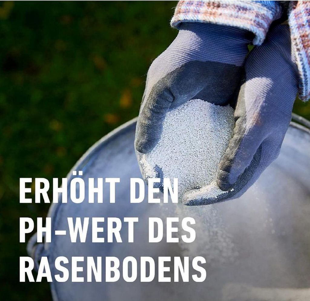 saatgut abo wurzelwerk Bio-Saatgut Abobox 'Gartengemse'