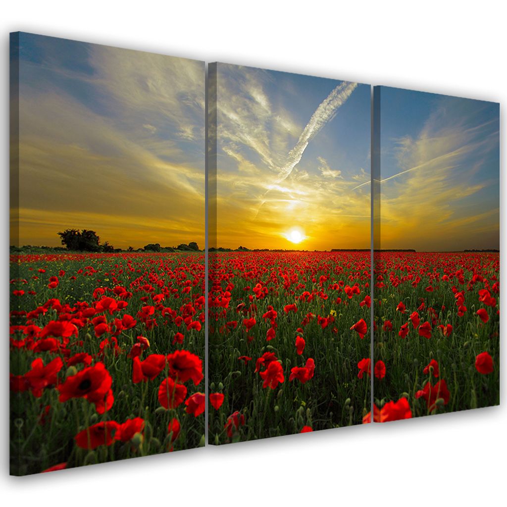 Triptychon auf leinwand blumen - rot 60x40 cm Feeby rot wandbild bereit zum aufhängen