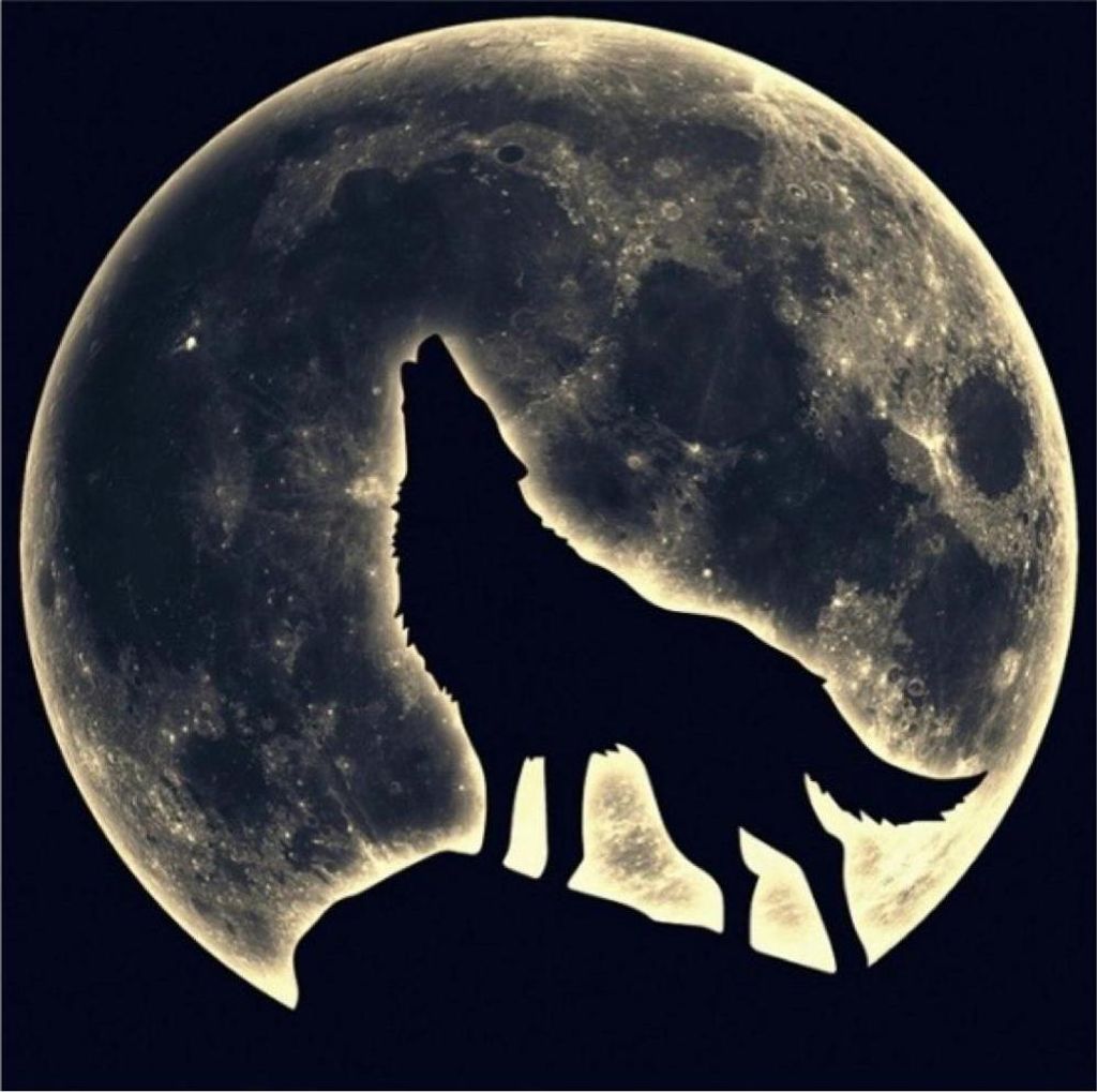 Wolf Moon Bügelanwendung