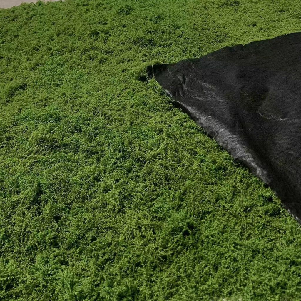 Moosmatten zur Dekoration, flaches Moos für Moosbilder und Mooswände, künstliches Moos zur Dekoration, künstliches Dekomoos, Bastelmoos, Moosma...