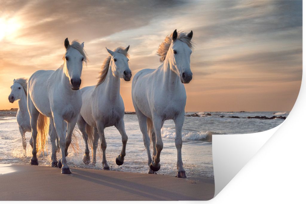 MuchoWow - Selbstklebend - Fototapeten