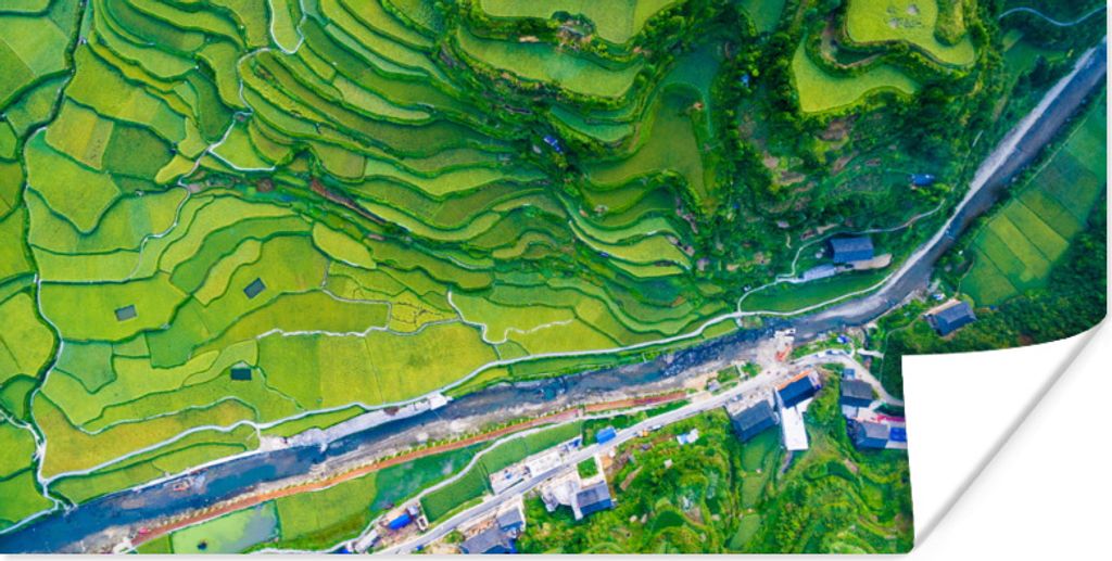MuchoWow Poster Eine atemberaubende Luftaufnahme von grünen, trockenen Reisfeldern in Guizhou 120x60 cm - Bild