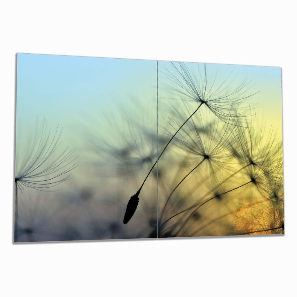 Wallario Herdabdeckplatte aus Glas, Größe 80 x 52 cm 2-teilig, Motiv Samen der Pusteblume in Nahaufnahme vor blauem Himmel