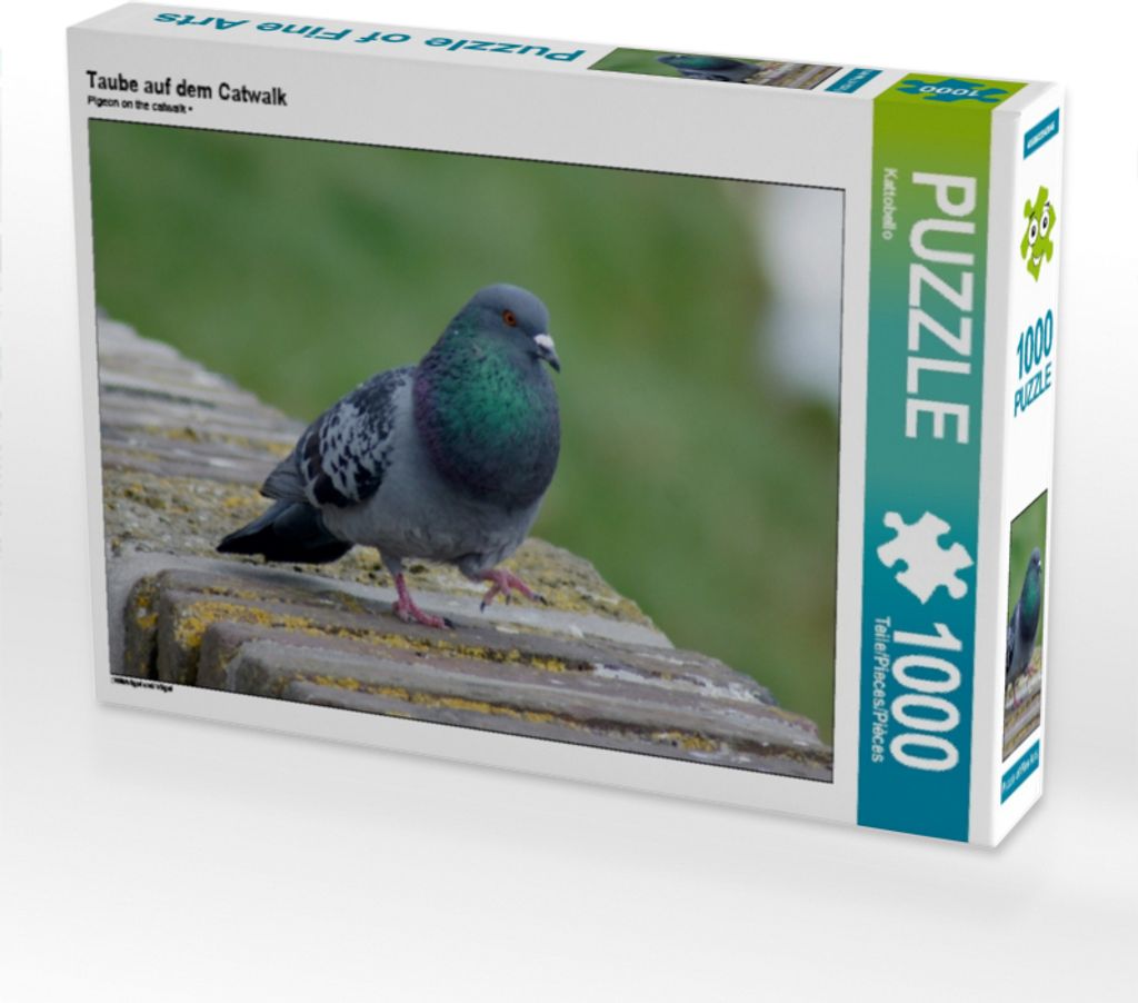 Calvendo Taube auf dem Catwalk 1000 Teile Puzzle quer 640x480mm, CALVENDO; 7311761