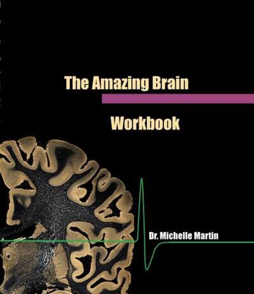 The Amazing Brain Workbook