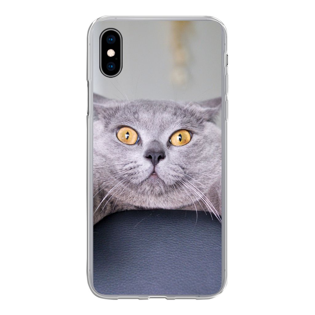 MuchoWow Handyhülle Schutzhülle Hülle für iPhone Xs Katze - Angst - Stuhl Silikon Softcase Handy Hülle - Handytasche