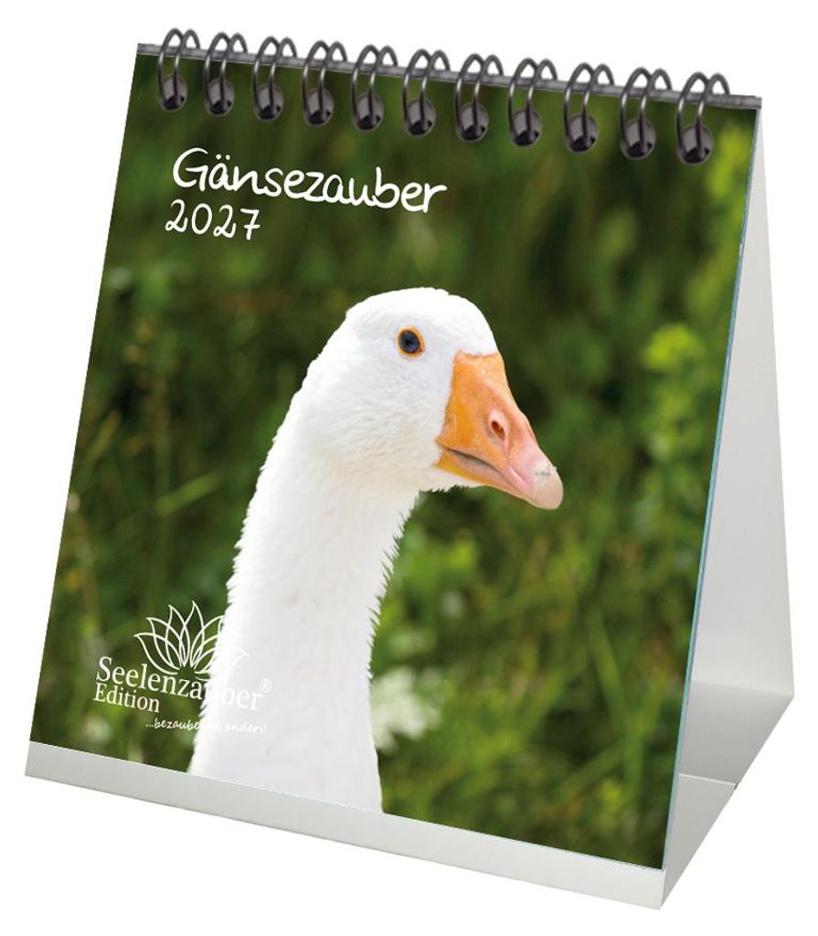 Gänsezauber Tischkalender 10x10cm für 2027 Gänse - Seelenzauber