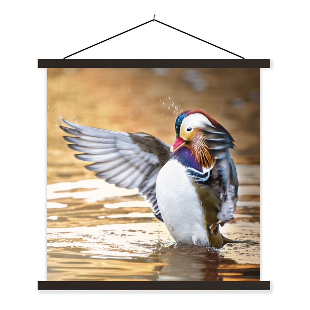 MuchoWow Textilposter Ente - Tier - Wasser - Herbst 60x60 cm mit schwarzem Rahmen - Posteraufhänger