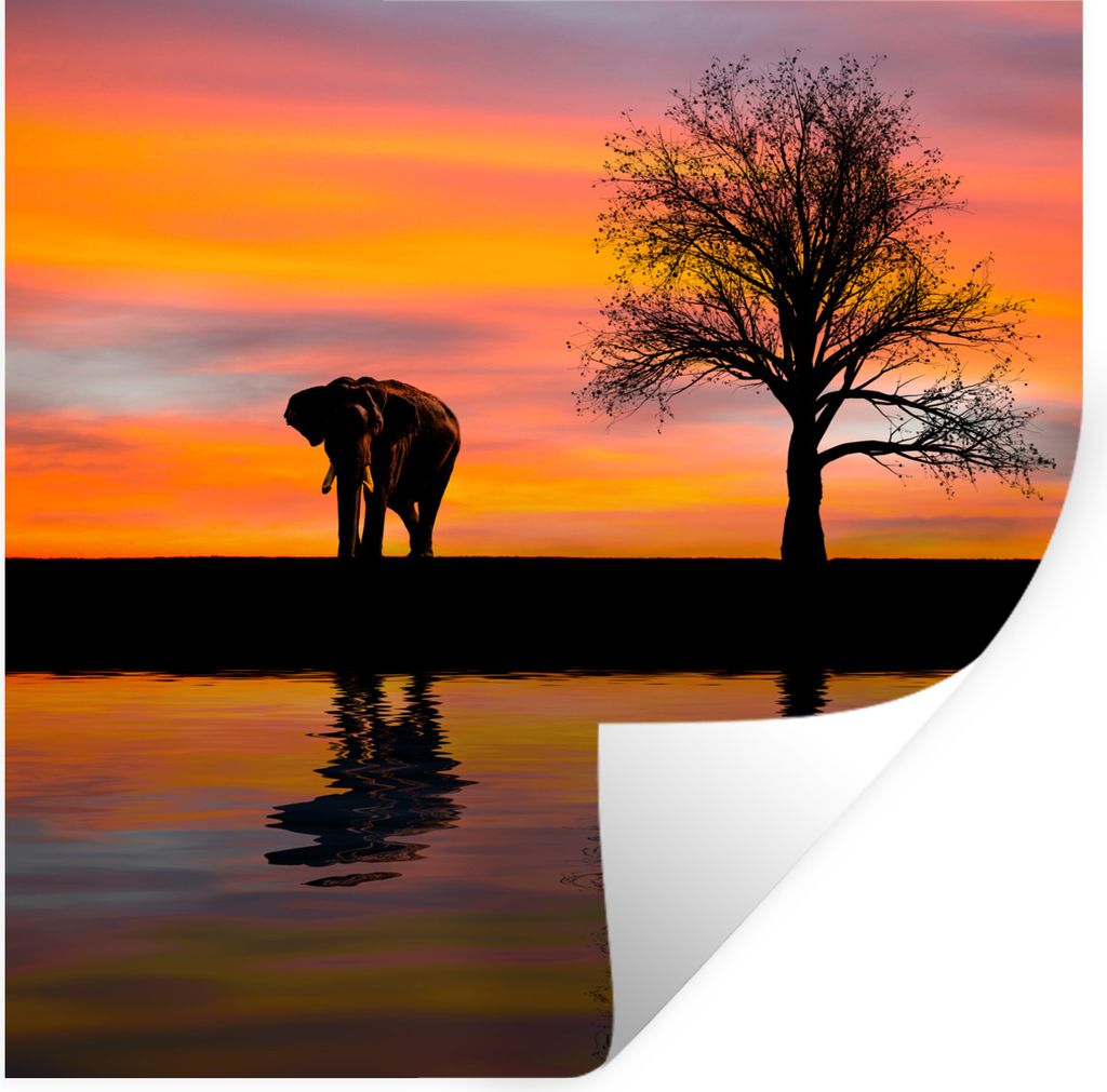 MuchoWow Wandtattoo Wandsticker Wandaufkleber Elefant und Sonnenuntergang 80x80 cm Selbstklebend und Repositionierbar - Wierderverwendbar - Selbs...