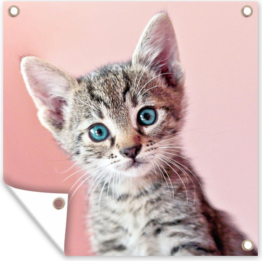 MuchoWow 50x50 cm Outdoor-Poster Gartendeko Sichtschutz Garten Poster für den Garten Kätzchen - Blau - Rosa