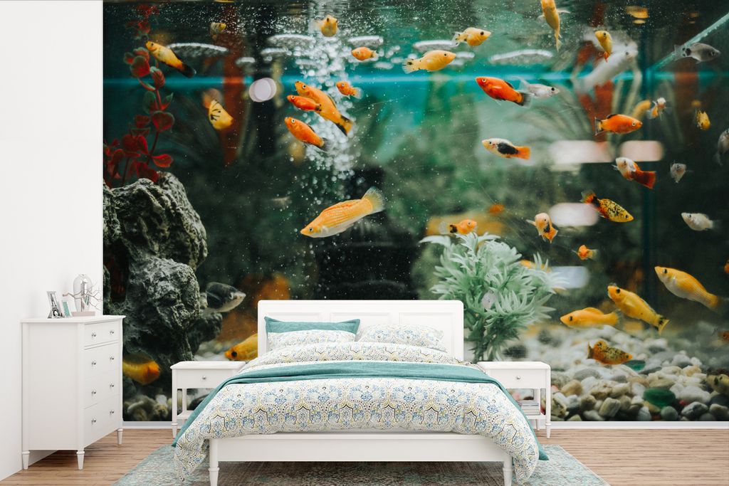 MuchoWow Fototapete für Wohnzimmer oder Schlafzimmer Wandtapete Vinyl Motivtapete Kleine Fische in einem Aquarium - 450x300 cm - Gemusterte
