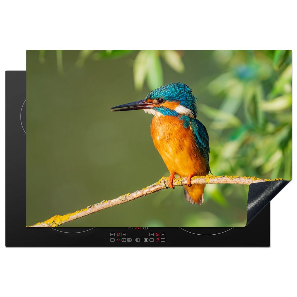KitchenYeah Herdabdeckplatte Vogel - Eisvogel - Zweig - Blätter - Moos , 77x51cm, Küche Deko, Glaskeramikkochfeld Herdabdeckung, Abdeckplatte f...