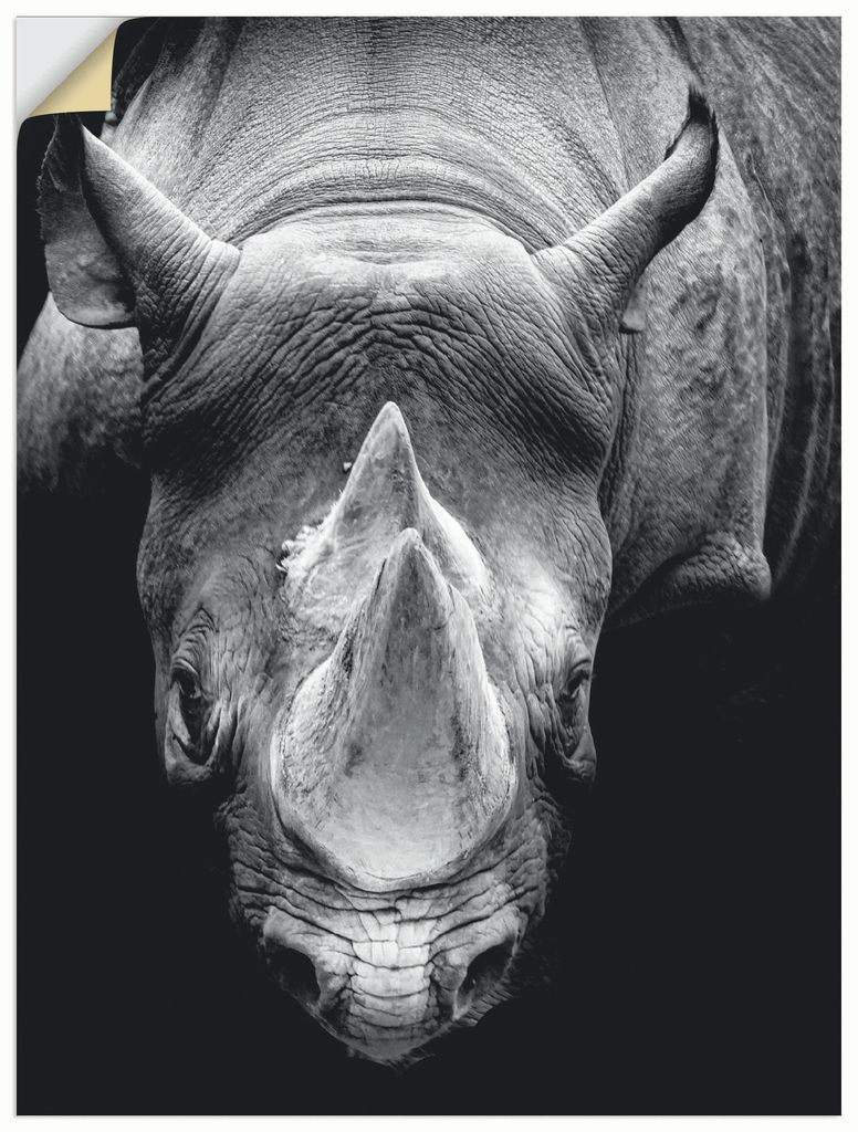 ARTland Wandbild, selbstklebend Das Nashorn Größe: 30x40 cm
