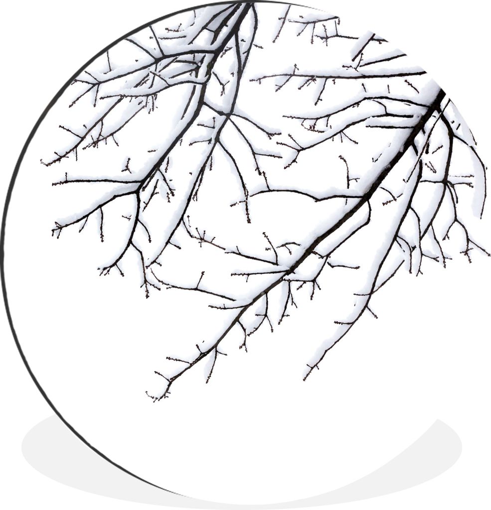 MuchoWow - Wand Kreis - Wandbild - Schlafzimmer - Aluminium Bild - Kinderzimmer - Wohnzimmer Dekoration - Wandschmuck