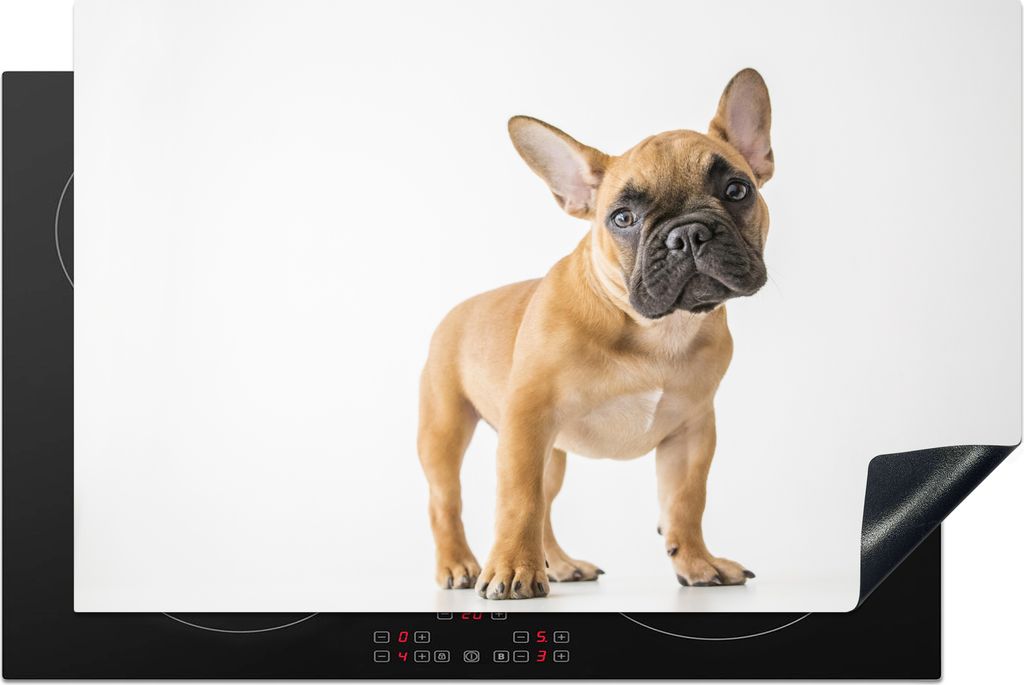 KitchenYeah Herdabdeckplatte Französische Bulldogge - Braun - Weiß , 80x52cm, Küche Deko, Glaskeramikfeld Herdabdeckung, Abdeckplatte fùr Koc...