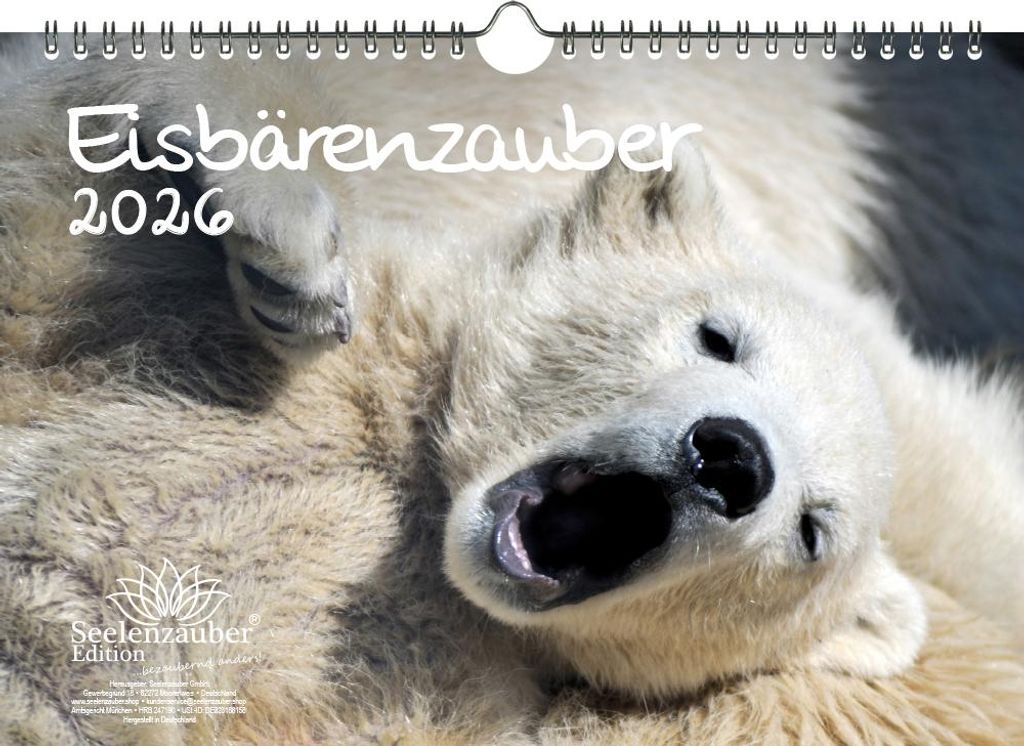 Eisbärenzauber DIN A4 Kalender für 2026 Eisbär - Seelenzauber