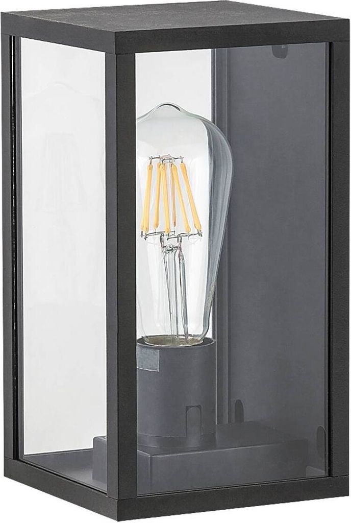 Topeka Außenwandleuchte transparent/schwarz