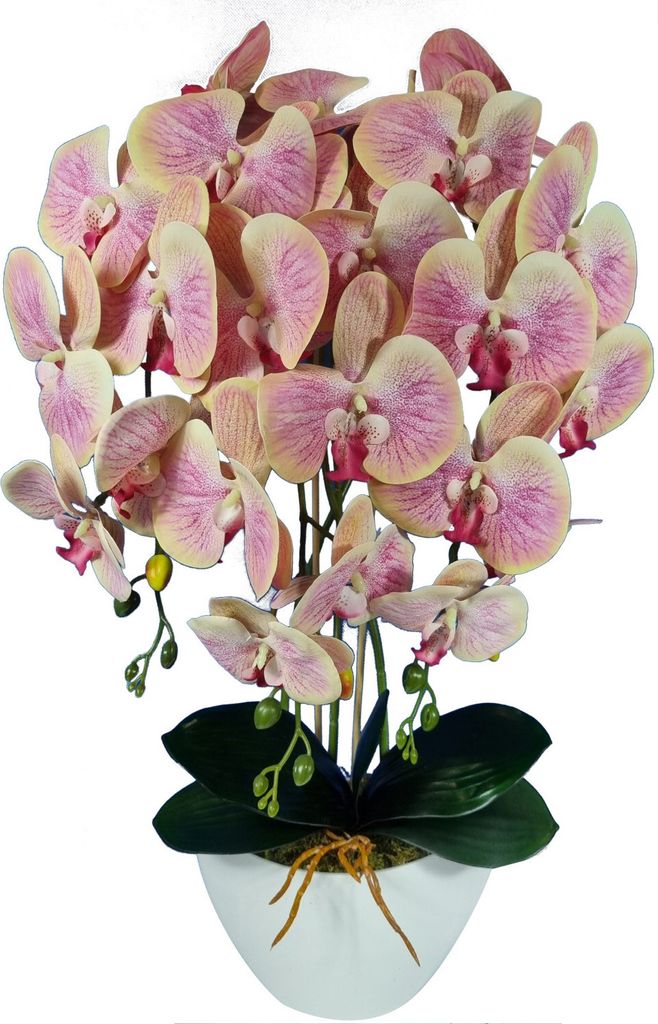 Damich umělá orchidej, čajovník, z kaučuku, 3pgrz Obrázek produktu 