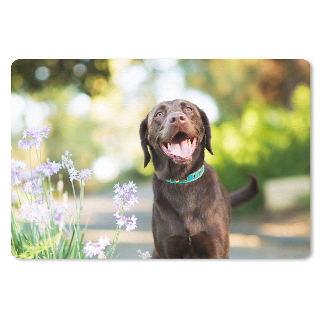 MuchoWow Mauspad Mousepad Ein Labrador Retriever mit schönen Blumen 27x18 cm - Mousepads - Maus Mat - Pad - Mausunterlage - Büroartikel - Desk ...
