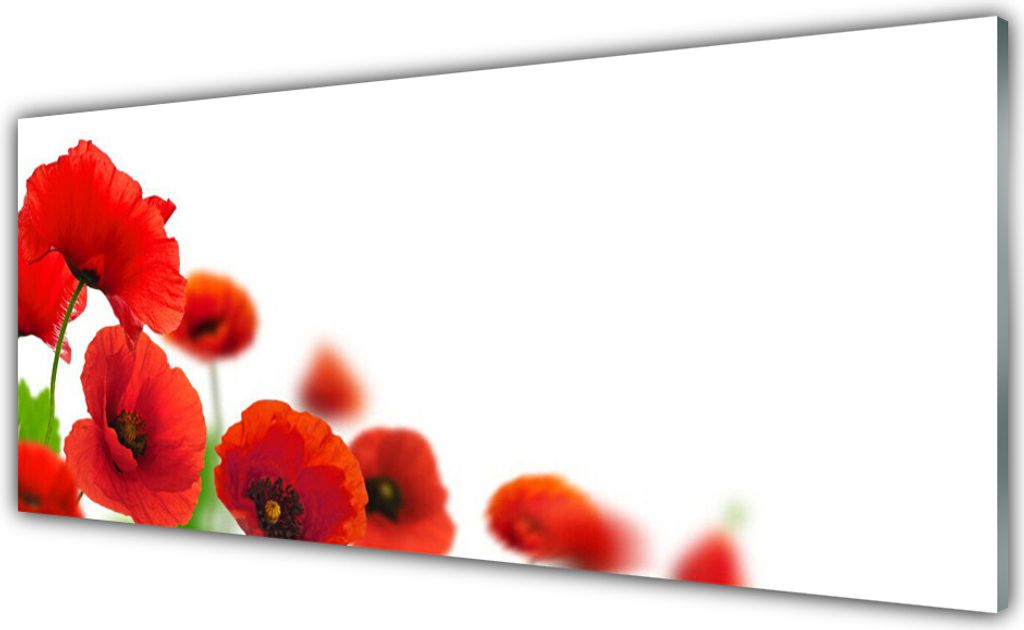 Glasbilder 125x50 Wandbild Druck auf Glas Mohnblumen Pflanzen