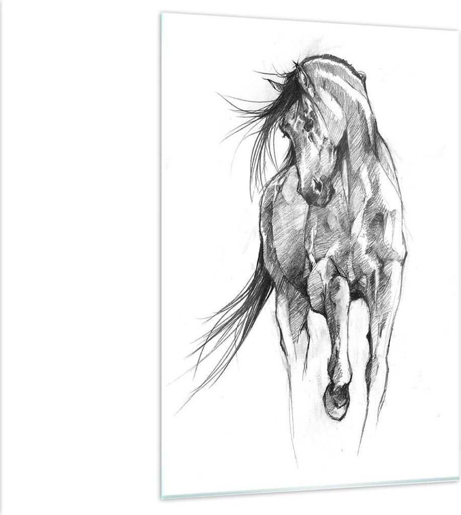 Bilder auf glas - Einteilig - Pferd Galopp Tier - 80x120cm - Glasbilder - Wandbilder - Bilder - zum Aufhängen bereit - Wanddekoration aus Glas - G...