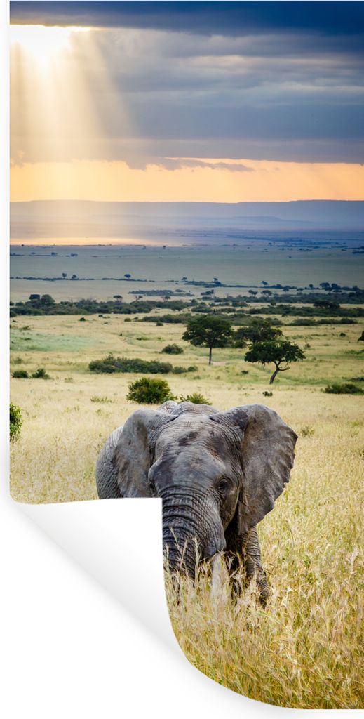 MuchoWow Wandtattoo Wandsticker Wandaufkleber Elefant - Tiere - Landschaft - Sonne - Natur 60x120 cm Selbstklebend und Repositionierbar - Selbstk...