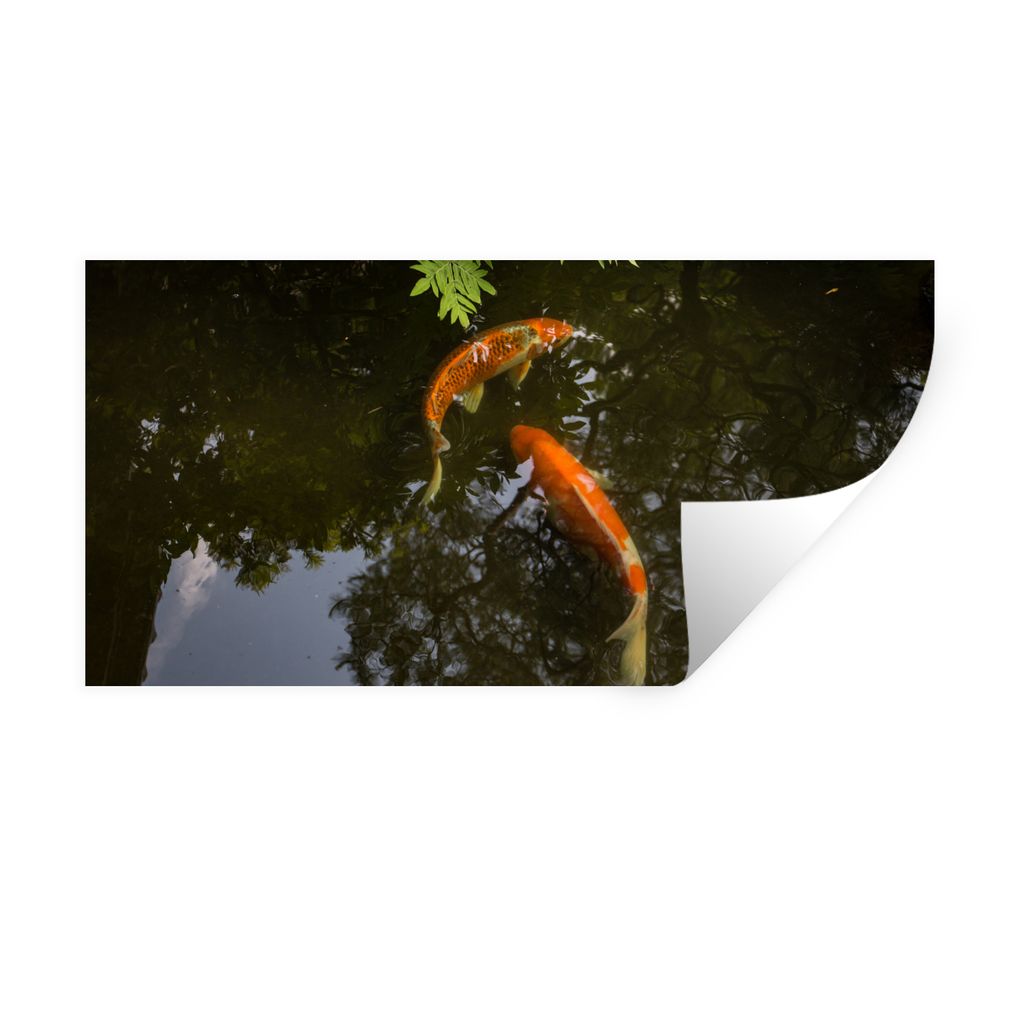 MuchoWow Wandtattoo Wandsticker Wandaufkleber Zwei Koi-Karpfen um einen Teich 40x20 cm Selbstklebend und Repositionierbar - Aufkleber