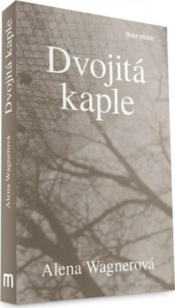 Comprendre l'histoire avec Dvojitá kaple d'Alena Wagnerová : Guide de lecture