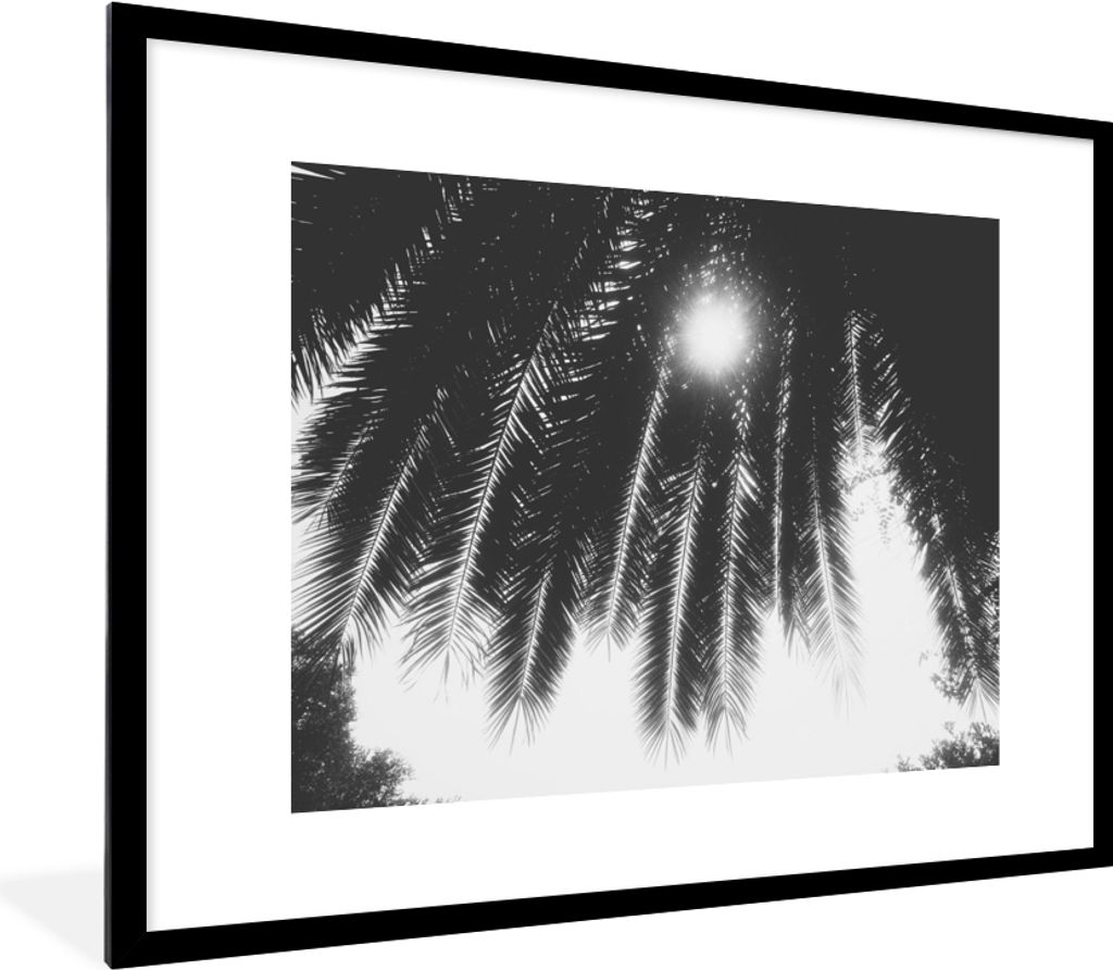 MuchoWow Gerahmtes Poster Palmenblätter - Tropisch - Sonne - Palme 80x60 cm - Poster mit Schwarzem Bilderrahmen Wandposter Rahmen Foto Bilder - ...